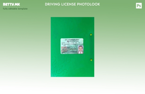 Модерен стил China DL photolook FRONT шаблон